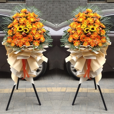 大展拳脚